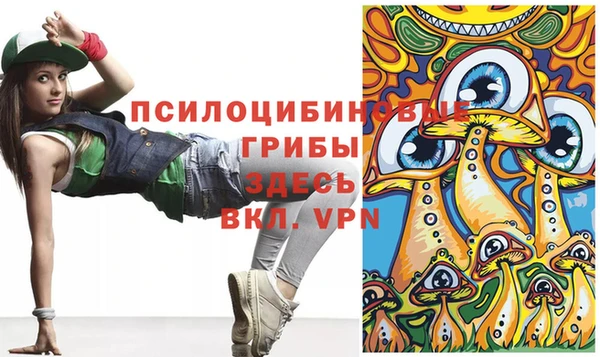 прущие грибы Дмитриев