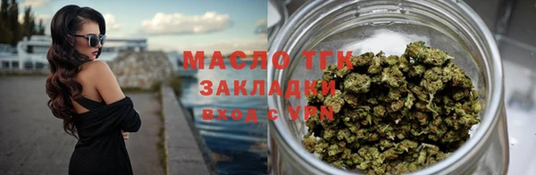прущие грибы Дмитриев