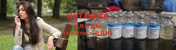 прущие грибы Дмитриев