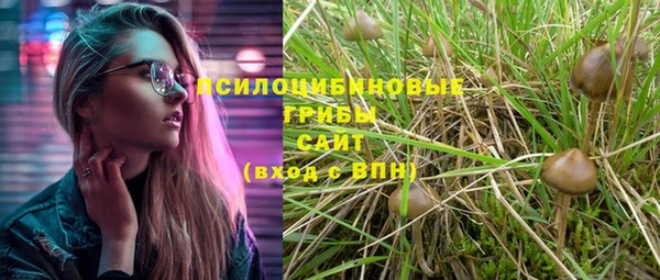 прущая мука Дмитров
