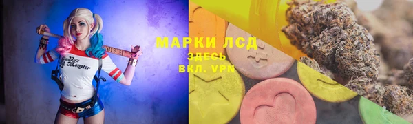 прущие грибы Дмитриев
