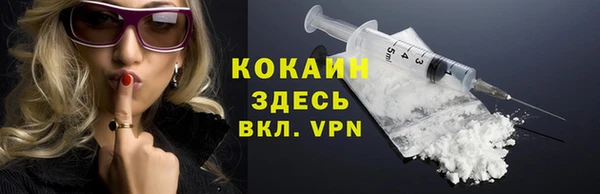 прущие грибы Дмитриев