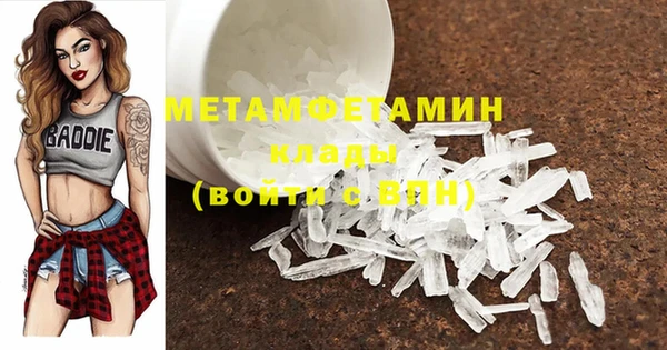 прущие грибы Дмитриев