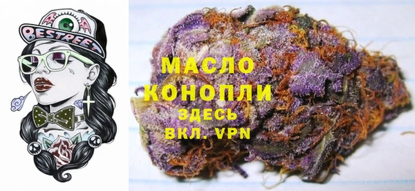 индика Гусев
