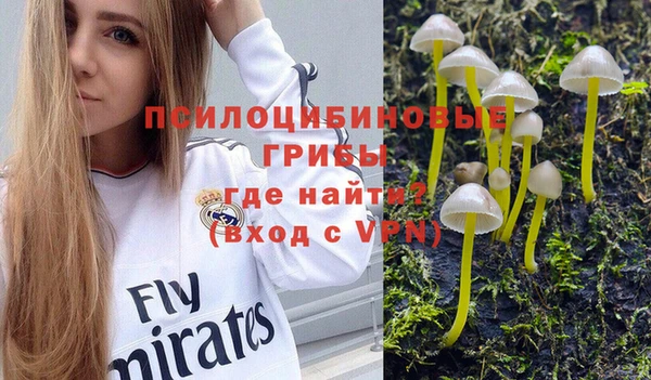 прущие грибы Дмитриев