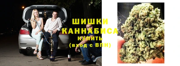 прущие грибы Дмитриев