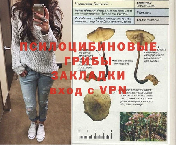 прущая мука Дмитров